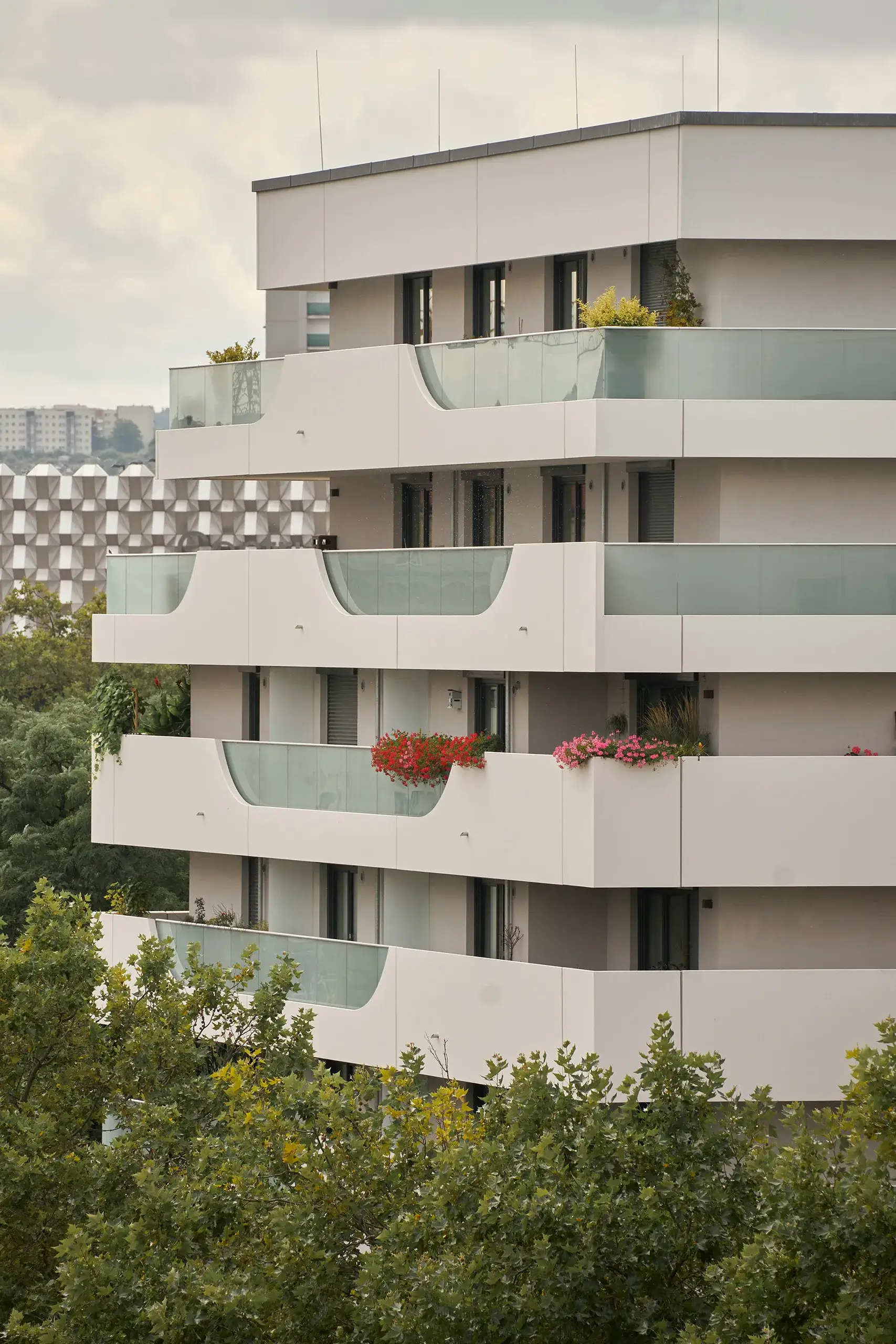 Balconies with potted plants